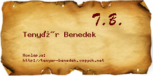 Tenyér Benedek névjegykártya